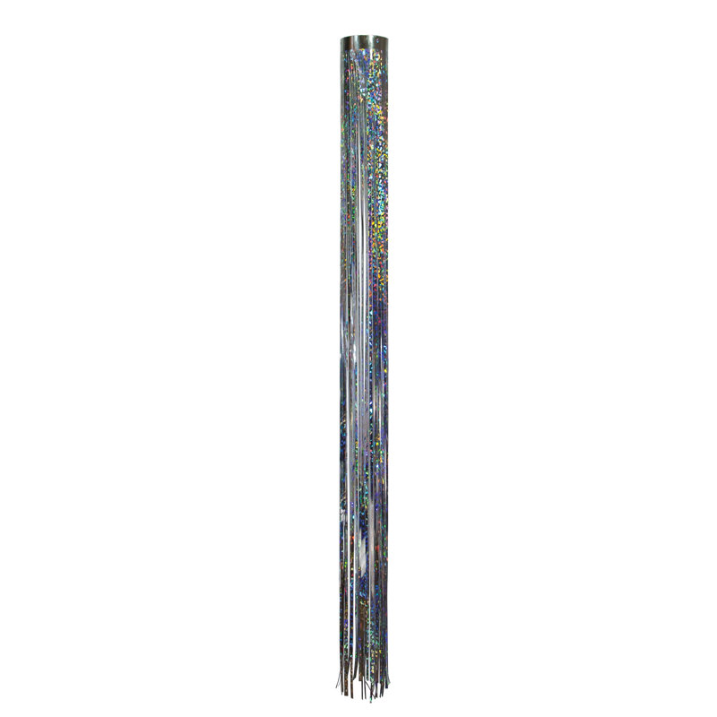 Arlmont & Co. Silver Holographic Windsock & Reviews | Wayfair