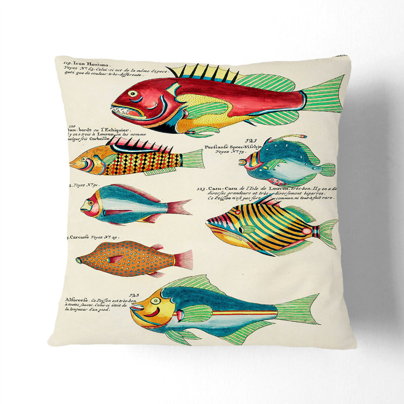 East Indies Fish Illustrations XXV by Louis Renard Cushion with Filling, 55cm H x 55cm W x 20cm D, Stone