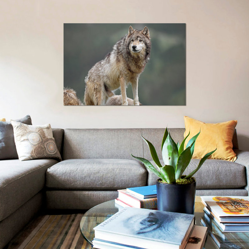 « loup, north america i », impression sur toile, H 26 po x l 40 po x P 1,5 po, Toile tendue, Pas de tapis