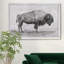 «Wild Bison Study I», impression sur toile encadrée-1140489443-1140489442