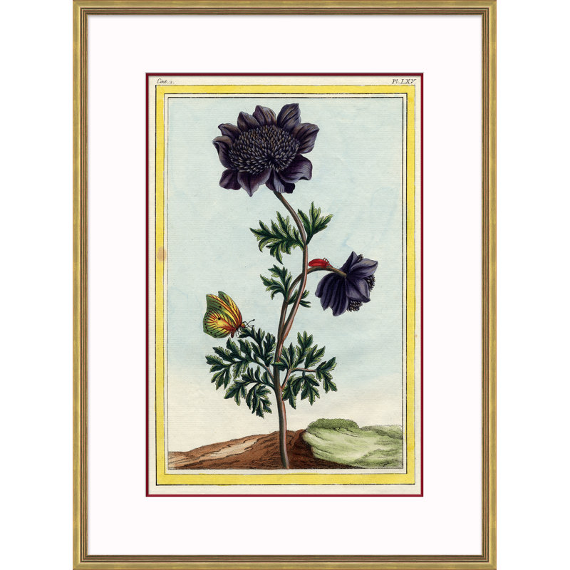Botanical Giclee Print by Auguster Reger