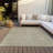  Chayden Indoor/Outdoor Chantille ACN991 Gray Area Rug-526827292
