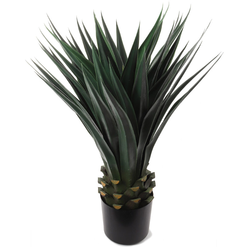 Plante grasse artificielle noire en pot de 36 pouces de hauteur