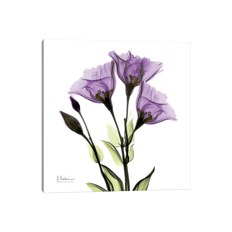 Gentian Believe by Albert Koetsier - Wrapped Canvas Print, 93.98 cm H x 93.98 cm W x 1.91 cm D