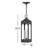 Ellen Malden Medium Hanging Lantern