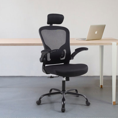 Itziar Ergonomic Desk Chair Office Chair Home Office Mesh Task Chair with Headrest