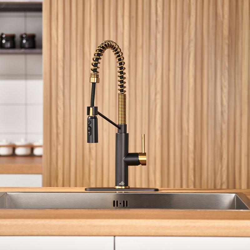 Robinet de cuisine à bec rétractable à ressort 1,8 GPM avec plaque de pont Bolden, Noir mat / or brossé