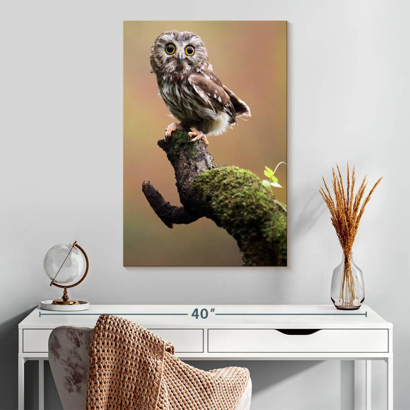 Brampt Northern Saw Whet Owl, 30" H x 20" W