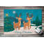 Non-Slip Christmas Outdoor Doormat