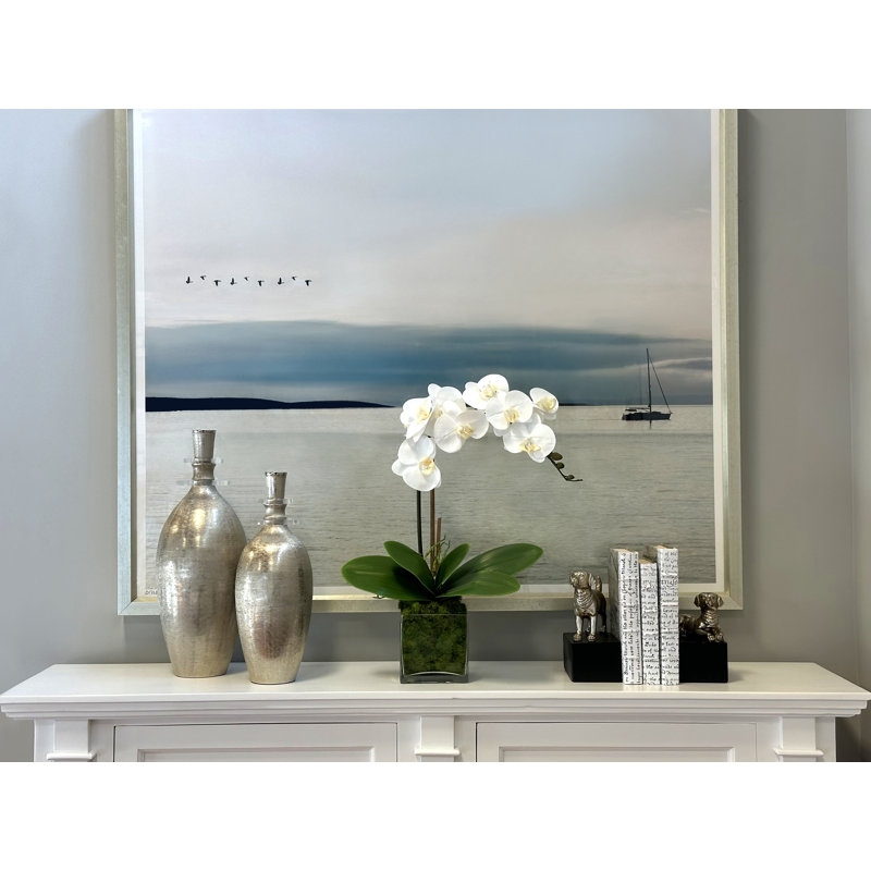 Phalaenopsis In Glass Vase With Moss