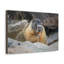 No Frame Print on Canvas-511535348