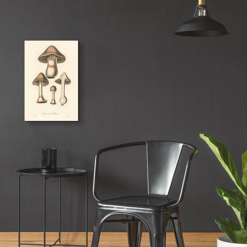  «Agaricus Bullosus» par Art Licensing Studio, art mural en verre acrylique, 16 po x 24 po, H 24 po x l 16 po