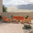 Tullio 5 - Person Patio Conversation Set with Sunbrella® Cushions-1717164067