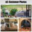 Enclos pour tortues