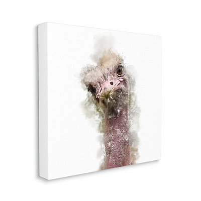 " Curious Ostrich Face Portrait "
