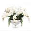 Orchid Floral Arrangement in Vase