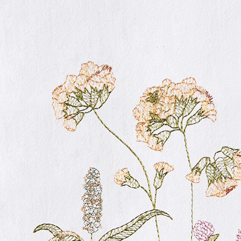 Anessa Flour Sack Cotton Kitchen Towel