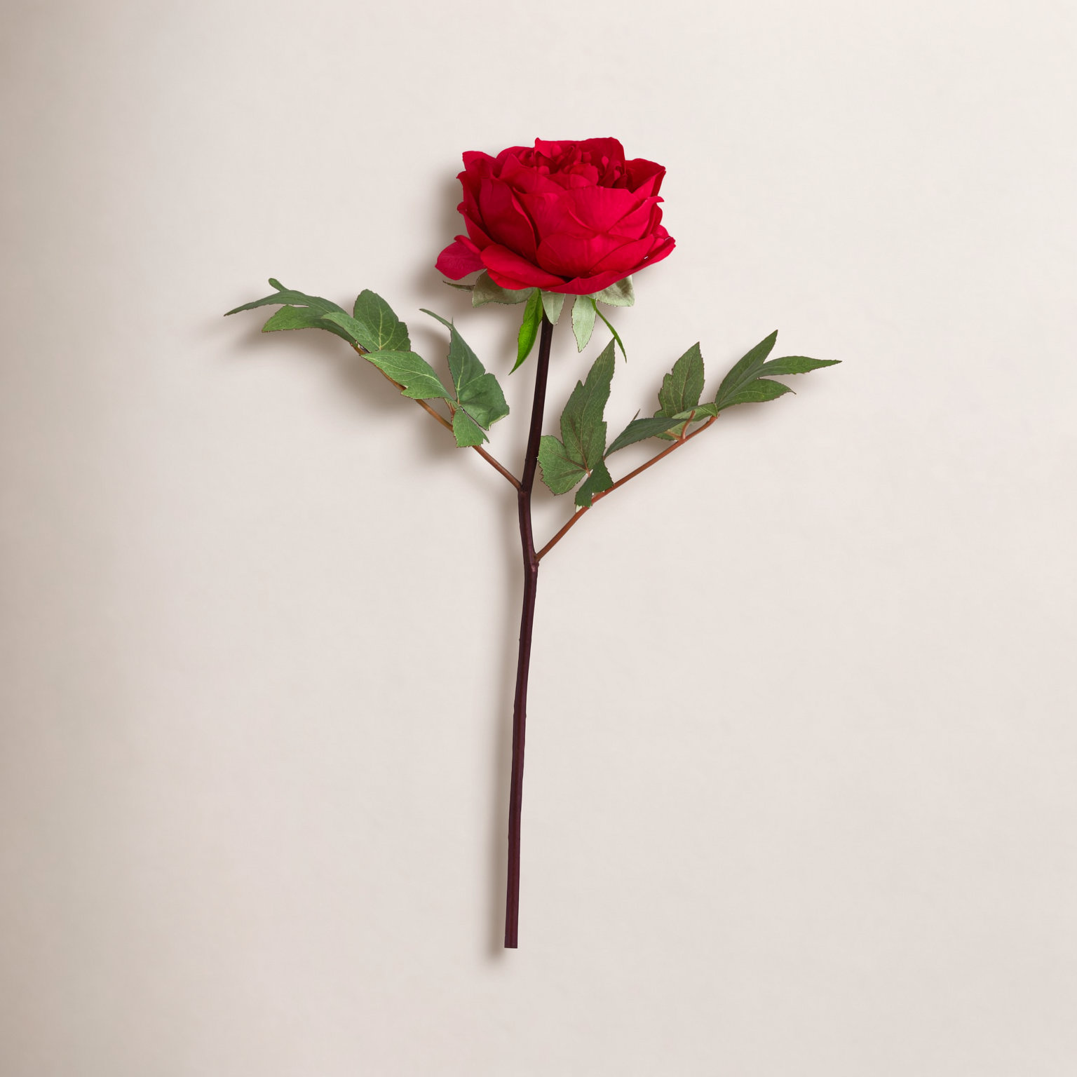 Peony Floral Stems, Red