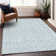 Machine Washable Indoor/Outdoor Chayden ACN1056 Mint Rug