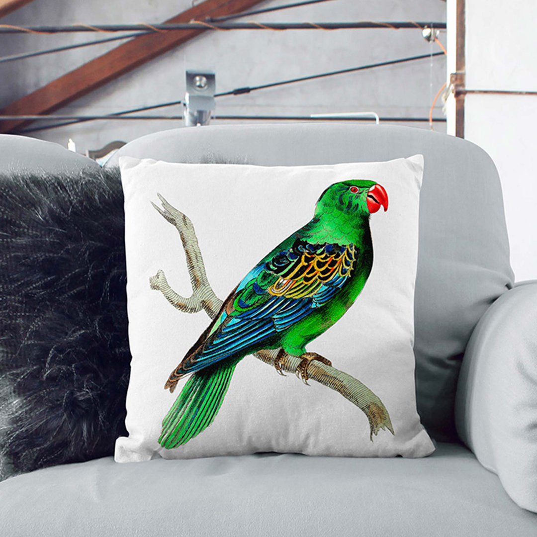 Great-Billed Parrot by George Shaw Cushion with Filling