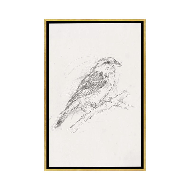 Reproduction d’art, "Avian Study II" par Ethan Harper, H 40 po x l 26 po x P 1,5 po, Pas de tapis, Toile encadrée d'or