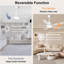 Ceiling Fan with Light Kit