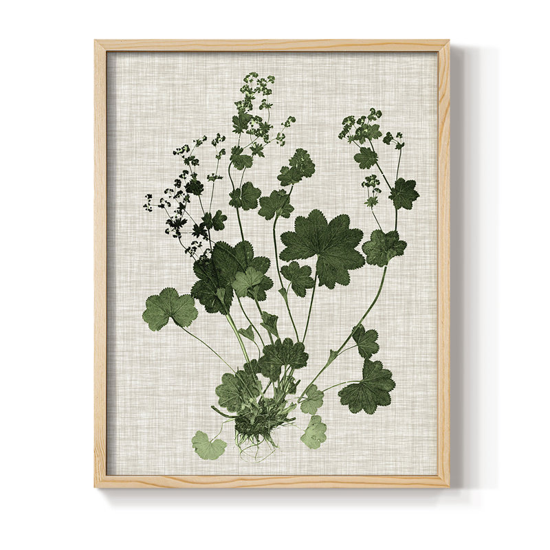«Forest Foliage on Linen III», reproduction encadrée - bois massif, H 30 po x l 24 po