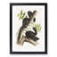 Black Squirrels by J.W. Audubon - Picture Frame Art Print-55512393-55512394