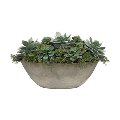 SUCCULENT IN OVAL PLANTER