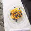 Duralex - Lys Extra Large Glass Plates - Tempered, Heat Resistant - 280mm