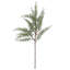 SEASONAL GREENERY STEM S/6 CEDAR 20IN