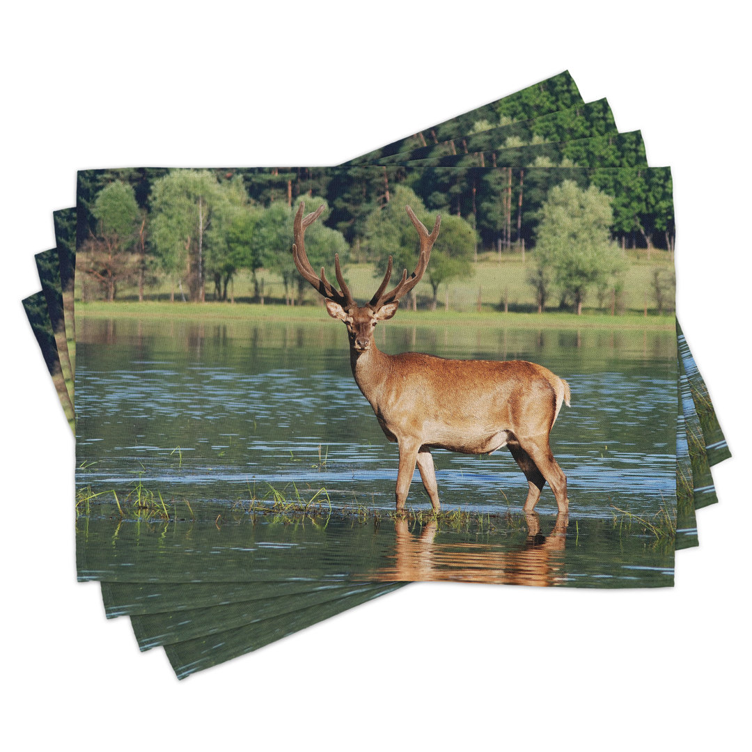 Platzdeckchen 4er-Set, Bergtier im Wasser, grünbraun