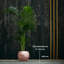 Handmade Pot Planter-52454941
