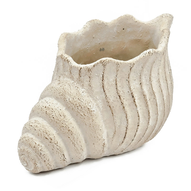 11.5X7x7" Sand And Cement Nautilus Shell Planter With Textured Beige Finish