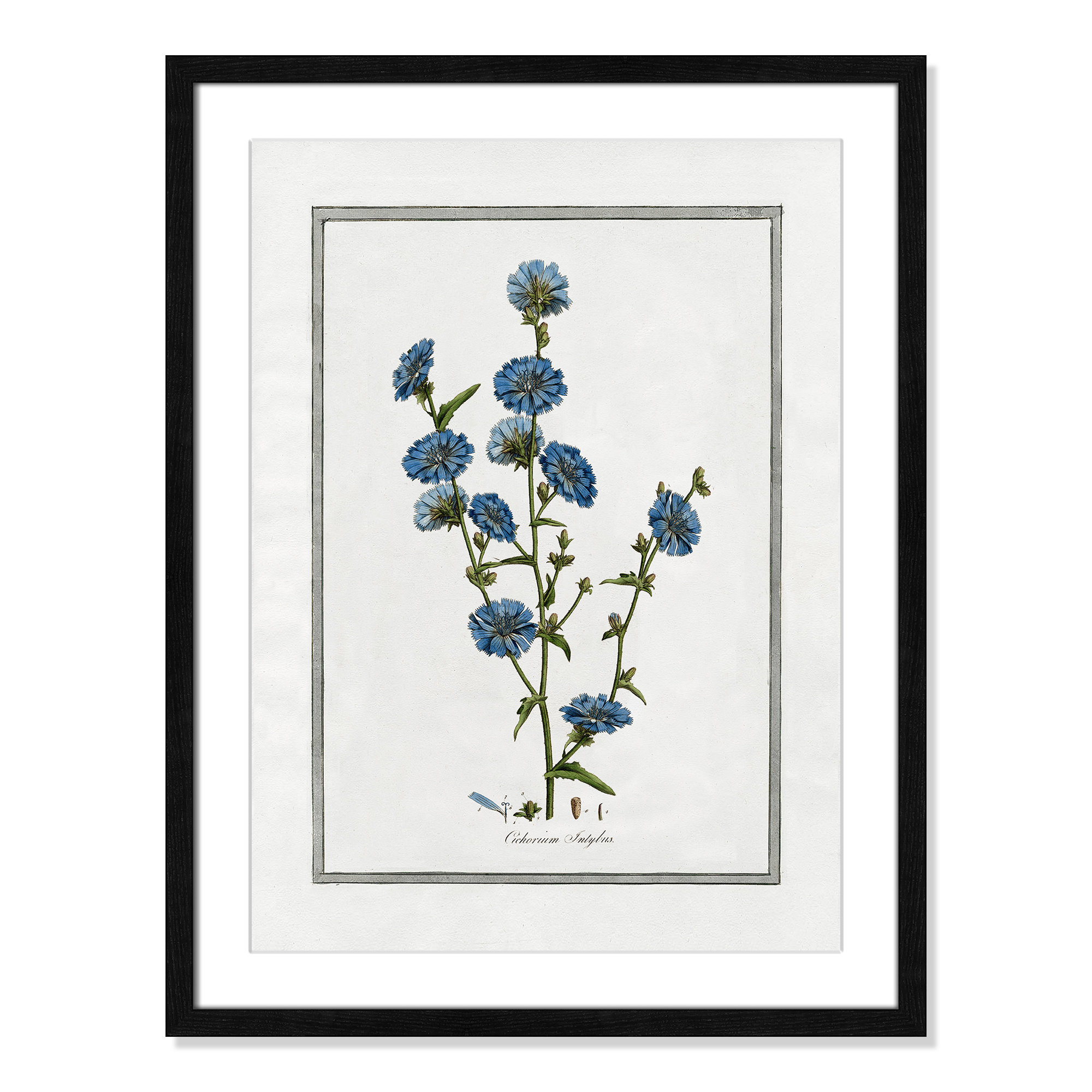 Soft Botanical I - Framed Art Full Bleed, 17" W x 23" H, Black Framed