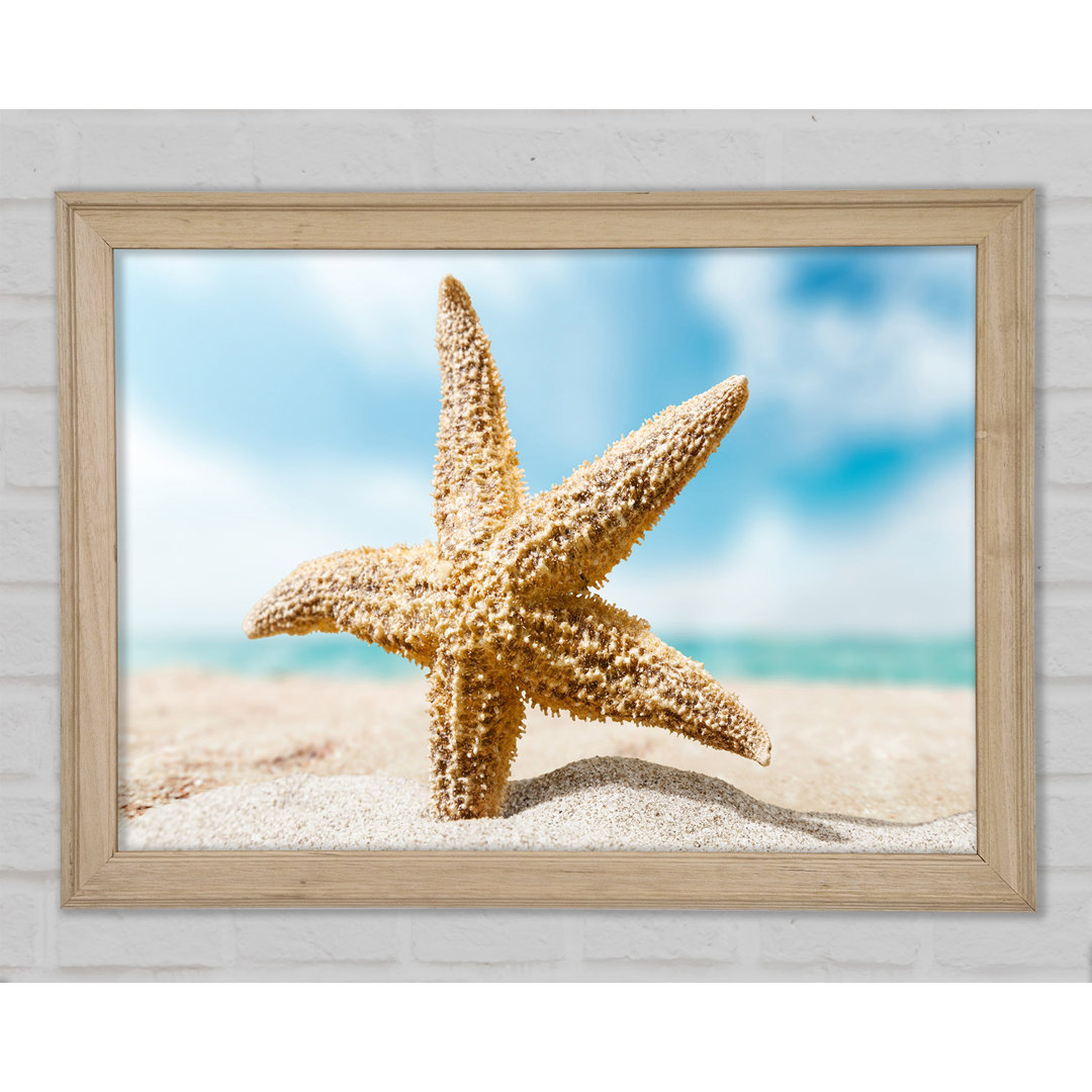 Starfish In Detail Sands Gerahmter Druck