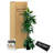 Hand-Made Primrue Tropical 6.5'' Artificial Birdnest Tree