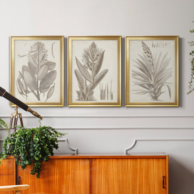 «Sepia Exotic Plants I», ensemble de 3 peintures sur toile encadrées