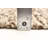 Sienna Brown Rug 5'6" x 7'8"