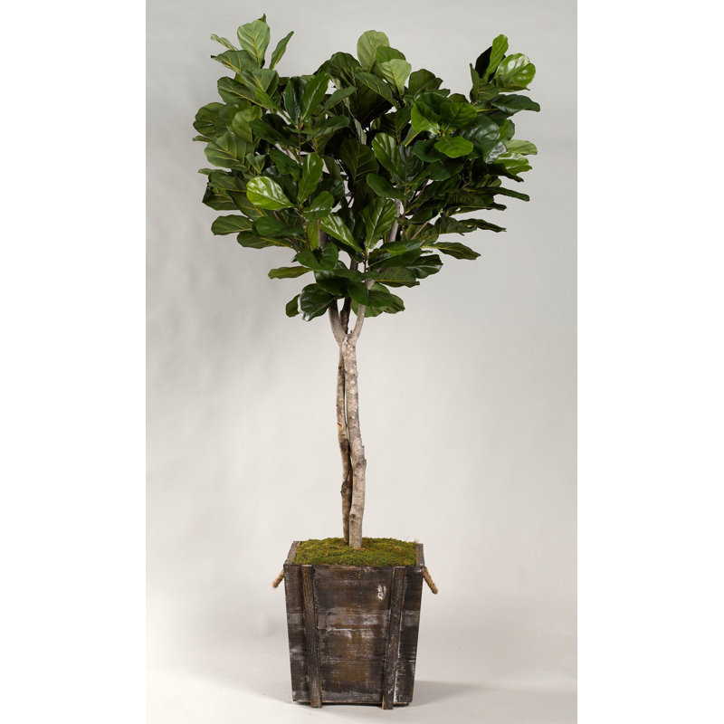 Faux Fiddle Leaf Fig Tree in Solid Wood Planter