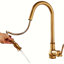 Antique Brass Kitchen Sink Mixer Taps Sprayer Pull Out Head Single Lever Mono Faucet Set