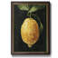 Citron foncé I - peinture sur toile encadrée-690725852