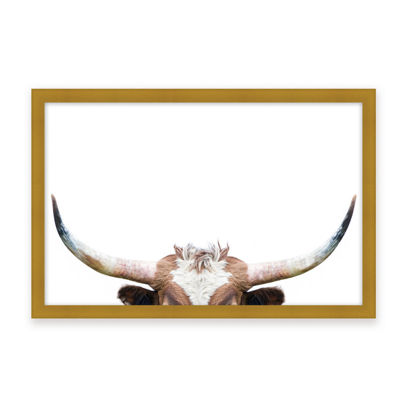 Nature Inspired Peeking Longhorn Cow by  - Picture Frame Photograph on Paper, 16" H x 24" W x 1.125" D, Black