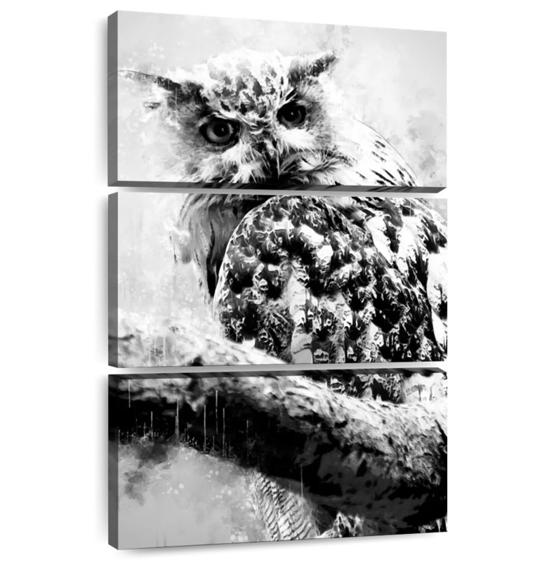 Owl Looking Black And White