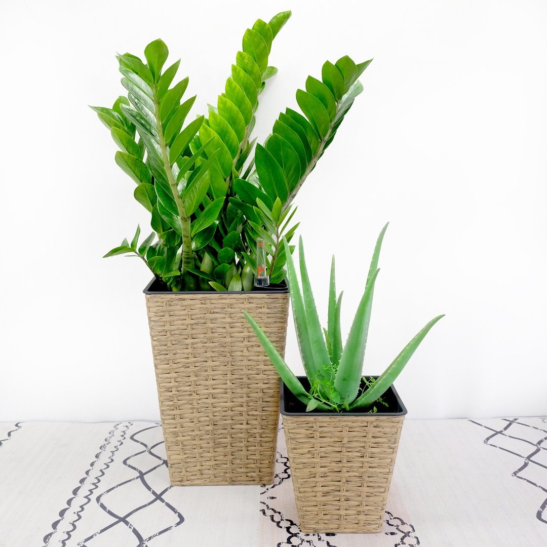 Devansh 2-Piece Self-Watering Woven Wicker Pot Planter Set (Set of 2) Bay Isle Home™ 