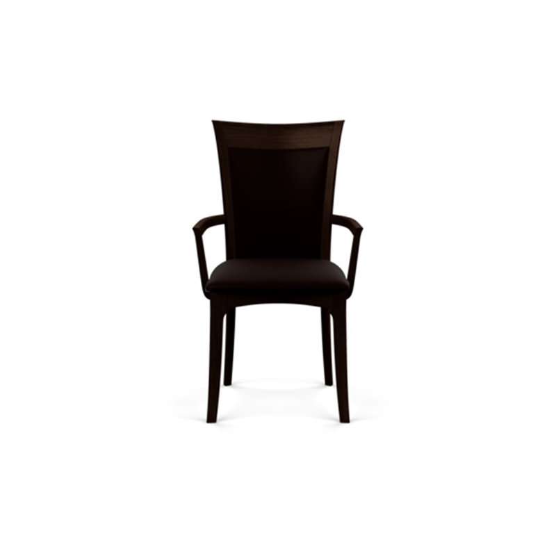 Morgan 19.25'' H Upholstered Armchair, Smoke Cherry, Ebony