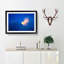 Light Upon the Clouds - Picture Frame Painting Print-55582739-55582740
