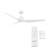 Terminator 60'' Ceiling Fan-66203402