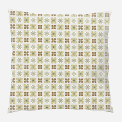 Coussin décoratif transparent