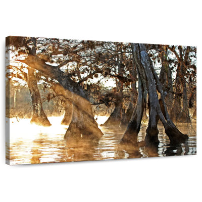 Harnek Cypress Creek II